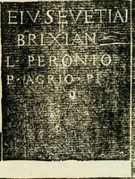 Picture 63 of 66 from Monvmenta antiqva vrbis et agri Brixiani (1564), leaf 66