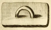 Picture 26 of 65 from Monvmenta patavina Sertorii Vrsati stvdio collecta, digesta, explicata, suisque iconibus expressa . (1652), leaf 193
