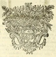 Picture 28 of 65 from Monvmenta patavina Sertorii Vrsati stvdio collecta, digesta, explicata, suisque iconibus expressa . (1652), leaf 198