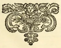Picture 31 of 65 from Monvmenta patavina Sertorii Vrsati stvdio collecta, digesta, explicata, suisque iconibus expressa . (1652), leaf 201
