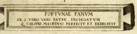 Picture 45 of 65 from Monvmenta patavina Sertorii Vrsati stvdio collecta, digesta, explicata, suisque iconibus expressa . (1652), leaf 259
