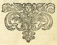 Picture 62 of 65 from Monvmenta patavina Sertorii Vrsati stvdio collecta, digesta, explicata, suisque iconibus expressa . (1652), leaf 362