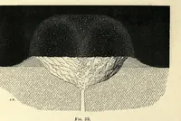 An illustration from The moon : considered as a planet, a world, and a satellite (1874)