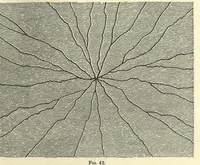 An illustration from The moon : considered as a planet, a world, and a satellite (1874)