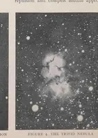 An illustration from The moon hoax; or, A discovery that the moon has a vast population of human beings (1859)