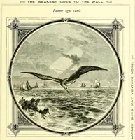 An illustration from Moral emblems, with aphorisms, adages, and proverbs, of all ages and nations (1860)