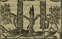 An illustration from Emblemas morales de don Ivan de Horozco y Couarruuias.. (1589)