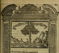 An illustration from Emblemas morales de don Ivan de Horozco y Couarruuias.. (1589)