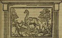 An illustration from Emblemas morales de don Ivan de Horozco y Couarruuias.. (1589)