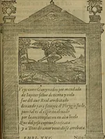 Picture 142 of 194 from Emblemas morales de don Ivan de Horozco y Couarruuias.. (1589), leaf 528