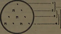 An illustration from Morals and dogma of the ancient and accepted Scottish Rite of freemasonry (1906)