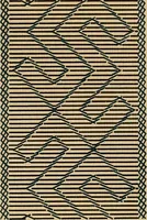 An illustration from Mordvalaisten pukuja kuoseja. Trachten und Muster der Mordvinen (1896)