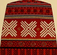 Picture 279 of 406 from Mordvalaisten pukuja kuoseja. Trachten und Muster der Mordvinen (1896), leaf 458