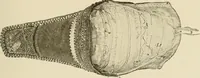 An illustration from Mordvalaisten pukuja kuoseja. Trachten und Muster der Mordvinen (1896)
