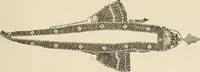 Picture 350 of 406 from Mordvalaisten pukuja kuoseja. Trachten und Muster der Mordvinen (1896), leaf 548