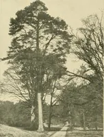 An illustration from More famous homes of Great Britain and their stories (1902)
