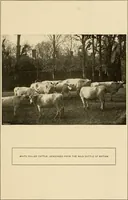 Picture 17 of 186 from More famous homes of Great Britain and their stories (1902), leaf 58