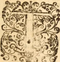 An illustration from The morning exercise methodized : or, Certain chief heads and points of the Christian religion opened and improved in divers sermons, by several ministers of the City of London, in the monthly course of the morning exercise at Giles in the Fields, May 1659 (1660)
