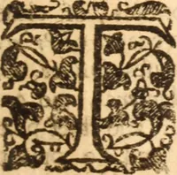 An illustration from The morning exercise methodized : or, Certain chief heads and points of the Christian religion opened and improved in divers sermons, by several ministers of the City of London, in the monthly course of the morning exercise at Giles in the Fields, May 1659 (1660)