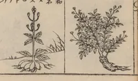 An illustration from Morokoshi kinmō zui (1854)