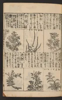 An illustration from Morokoshi kinmō zui (1854)