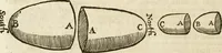 An illustration from Mosaicall philosophy : grounded upon the essentiall truth or eternal sapience (1659)