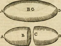 An illustration from Mosaicall philosophy : grounded upon the essentiall truth or eternal sapience (1659)