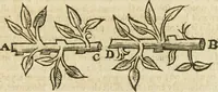 An illustration from Mosaicall philosophy : grounded upon the essentiall truth or eternal sapience (1659)
