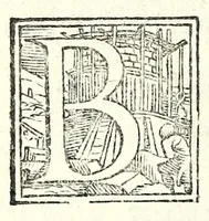 An illustration from Moschetta : comedia del famosissimo Rvzzante, nuouamente uenuta in luce (1554)