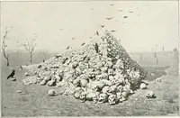 Picture 72 of 83 from Moscou (1904), leaf 110