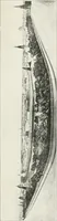 An illustration from Moscou (1904)