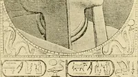 Picture 16 of 24 from Moses and the monuments : light from archaeology on Pentateuchal times (1920), leaf 302