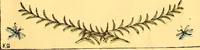 Picture 18 of 60 from Mother Goose , or The old nursery rhymes (1890), leaf 18