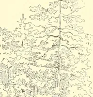 An illustration from Mother-play and nursery songs; (1906)