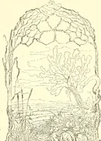 An illustration from Mother-play and nursery songs; (1906)