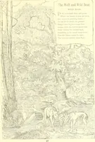 An illustration from Mother-play and nursery songs; (1906)