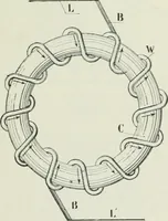 An illustration from Motors and motor-driving; (1904)