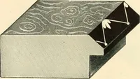 An illustration from Mouldings, mirrors, pictures and frames. (1884)