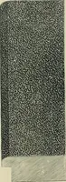An illustration from Mouldings, mirrors, pictures and frames. (1884)