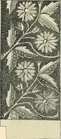 An illustration from Mouldings, mirrors, pictures and frames. (1884)
