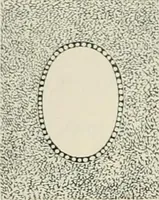 An illustration from Mouldings, mirrors, pictures and frames. (1884)