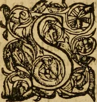 An illustration from The Mount of Calvarie (1597)
