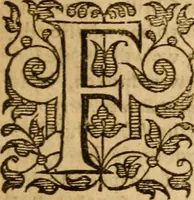 An illustration from The Mount of Calvarie (1597)