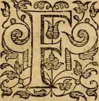 Picture 23 of 112 from The Mount of Calvarie (1597), leaf 179