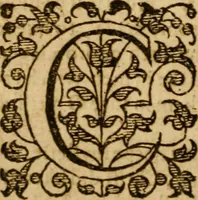An illustration from The Mount of Calvarie (1597)