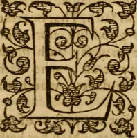 Picture 34 of 112 from The Mount of Calvarie (1597), leaf 265