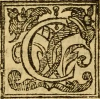 An illustration from The Mount of Calvarie (1597)