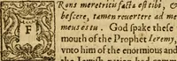 An illustration from The Mount of Calvarie (1597)