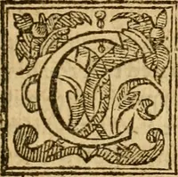 Picture 57 of 112 from The Mount of Calvarie (1597), leaf 492