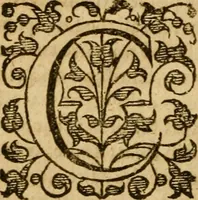 An illustration from The Mount of Calvarie (1597)